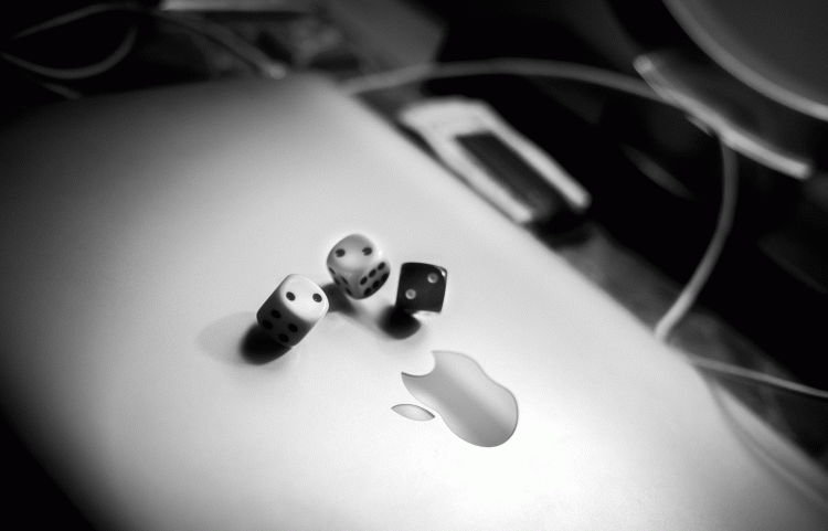 #23 | Santa Monica (CA.), United States | FREDERICK