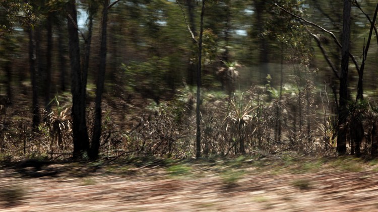 #06 | Australia | FREDERICK