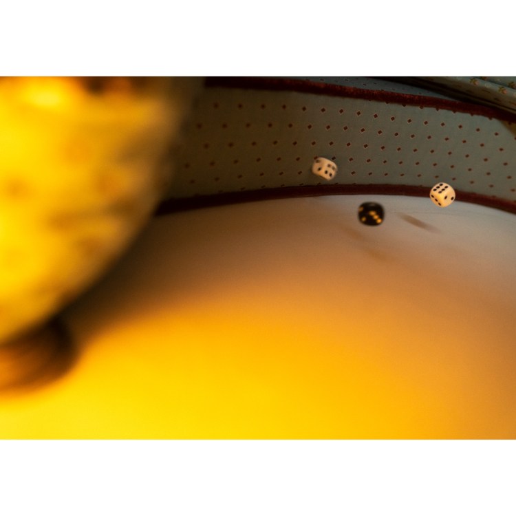 Room #35 | FREDERICK